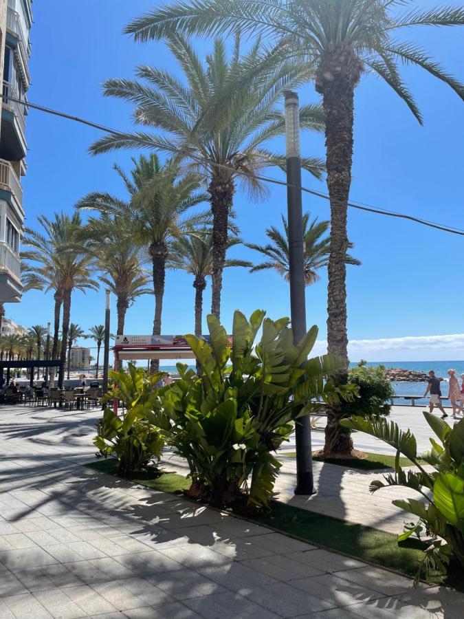 Almuden'S Green Apartment, High-Speed Free Wifi, 250M To Beach, The Center Of Torrevieja Exterior photo
